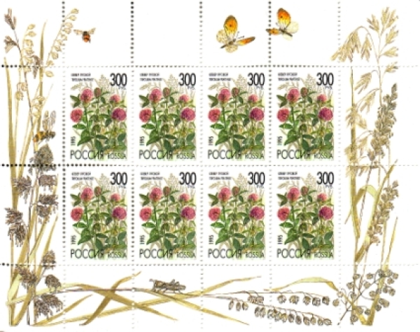 RUS 0439 KLBG ** - 1995